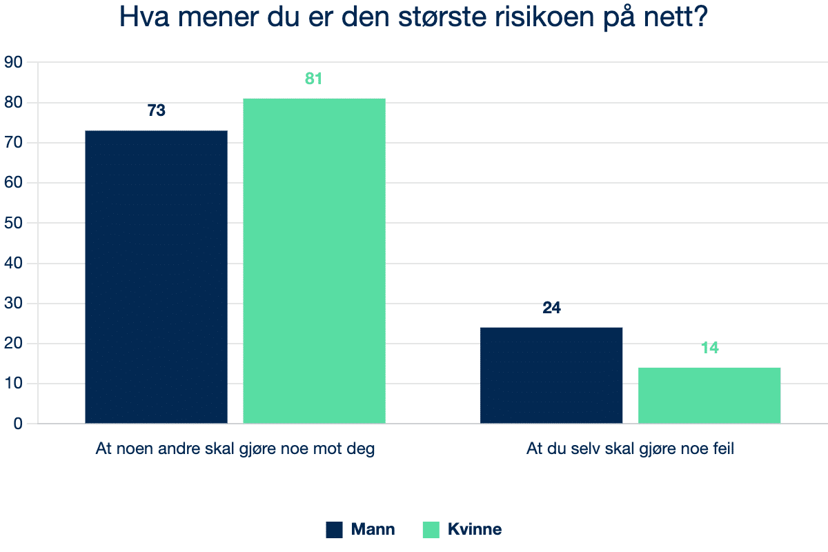 2024 3.8 Q10 Hva mener du er den største risikoen på nett?